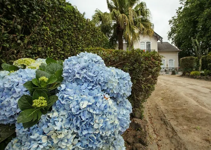 Cantinho Do Solar Vila Franca do Campo